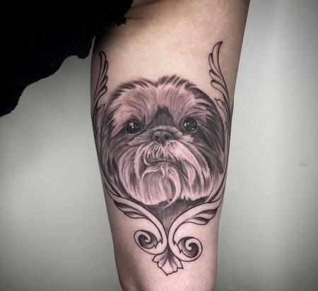 Tattoos - Dayton Smith Shih Tzu Portrait - 145108